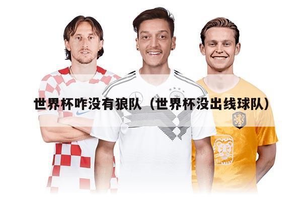 世界杯咋没有狼队（世界杯没出线球队）