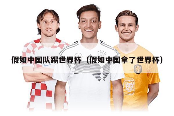 假如中国队踢世界杯（假如中国拿了世界杯）