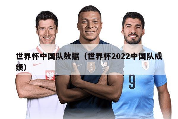 世界杯中国队数据（世界杯2022中国队成绩）
