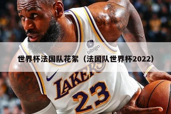 世界杯法国队花絮（法国队世界杯2022）