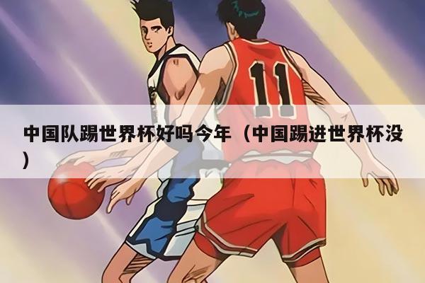 中国队踢世界杯好吗今年（中国踢进世界杯没）