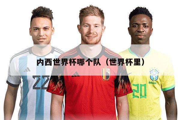 内西世界杯哪个队（世界杯里）