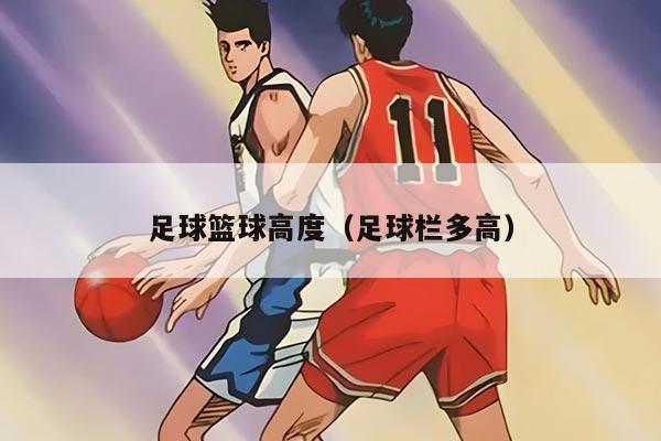 足球篮球高度（足球栏多高）