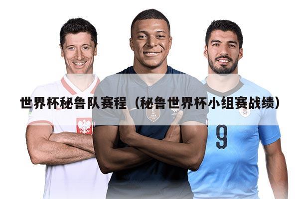 世界杯秘鲁队赛程（秘鲁世界杯小组赛战绩）