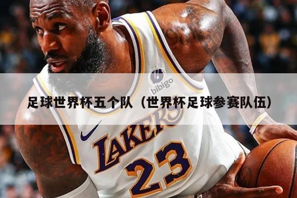 足球世界杯五个队（世界杯足球参赛队伍）