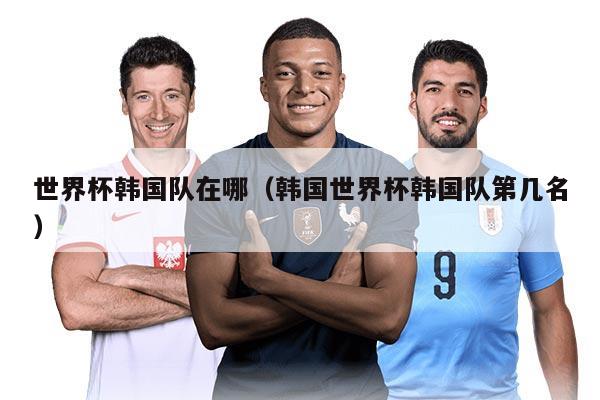 世界杯韩国队在哪（韩国世界杯韩国队第几名）