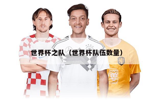 世界杯之队（世界杯队伍数量）