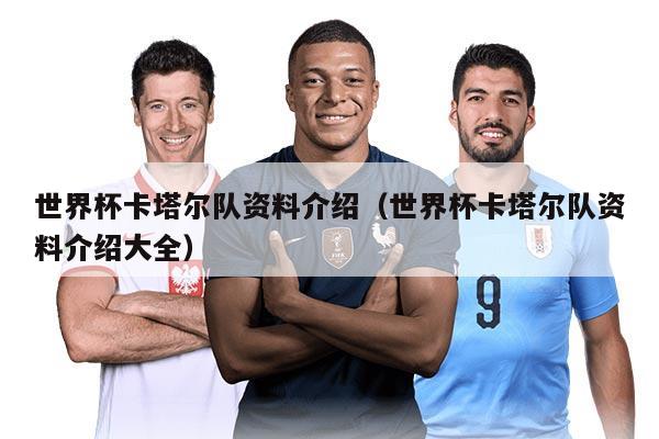 世界杯卡塔尔队资料介绍（世界杯卡塔尔队资料介绍大全）