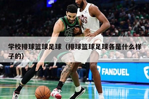 学校排球篮球足球（排球篮球足球各是什么样子的）