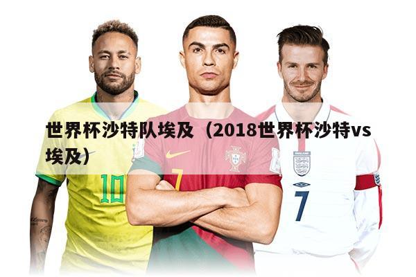 世界杯沙特队埃及（2018世界杯沙特vs埃及）