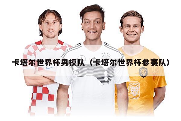 卡塔尔世界杯男模队（卡塔尔世界杯参赛队）