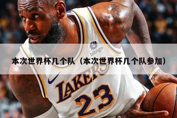 本次世界杯几个队（本次世界杯几个队参加）