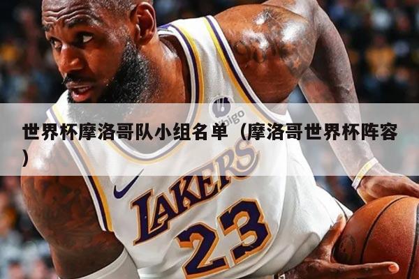 世界杯摩洛哥队小组名单（摩洛哥世界杯阵容）