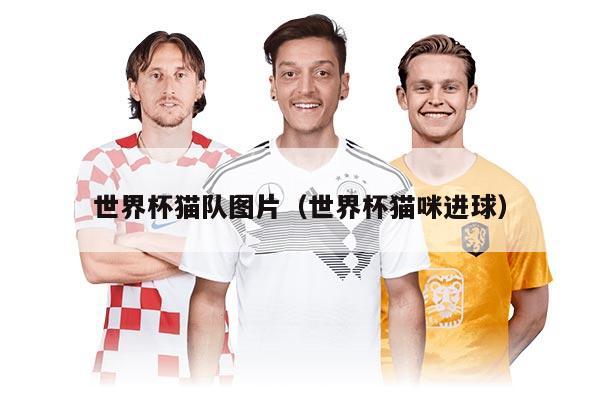 世界杯猫队图片（世界杯猫咪进球）