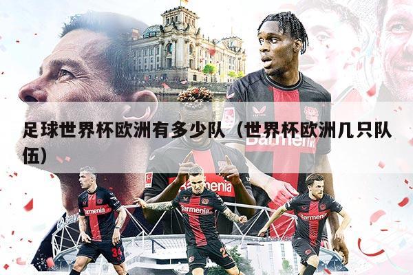 足球世界杯欧洲有多少队（世界杯欧洲几只队伍）