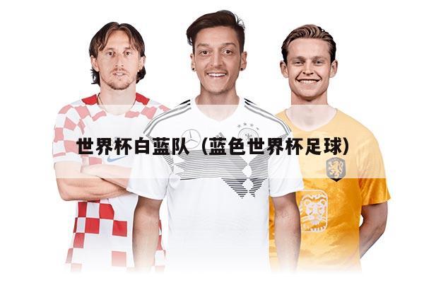 世界杯白蓝队（蓝色世界杯足球）