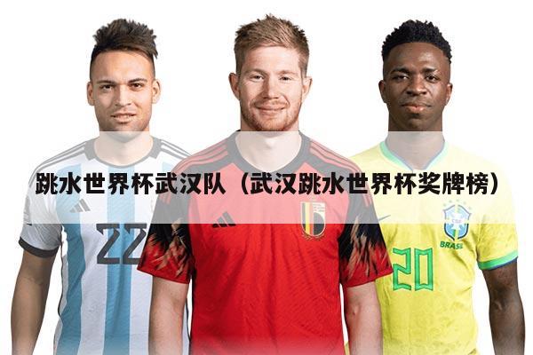 跳水世界杯武汉队（武汉跳水世界杯奖牌榜）