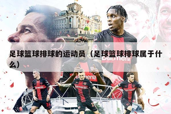 足球篮球排球的运动员（足球篮球排球属于什么）