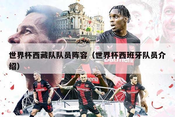 世界杯西藏队队员阵容（世界杯西班牙队员介绍）