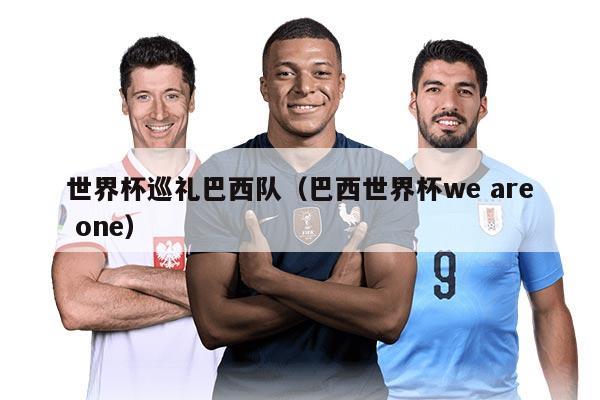 世界杯巡礼巴西队（巴西世界杯we are one）