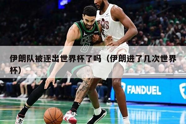 伊朗队被逐出世界杯了吗（伊朗进了几次世界杯）