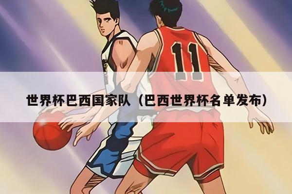 世界杯巴西国家队（巴西世界杯名单发布）