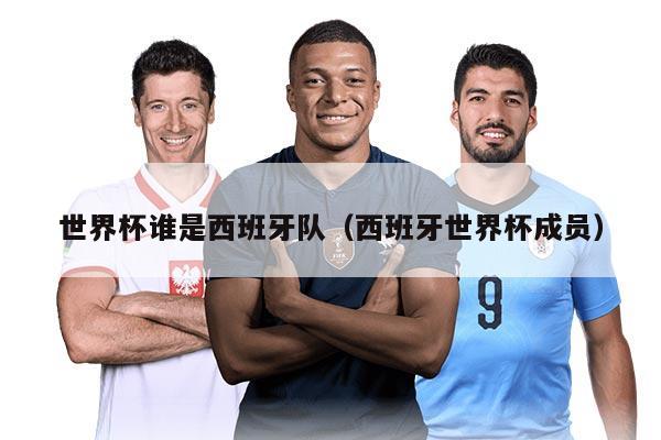 世界杯谁是西班牙队（西班牙世界杯成员）