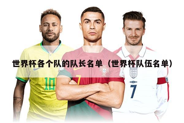 世界杯各个队的队长名单(世界杯队伍名单)