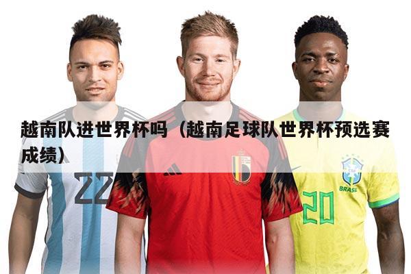 越南队进世界杯吗（越南足球队世界杯预选赛成绩）