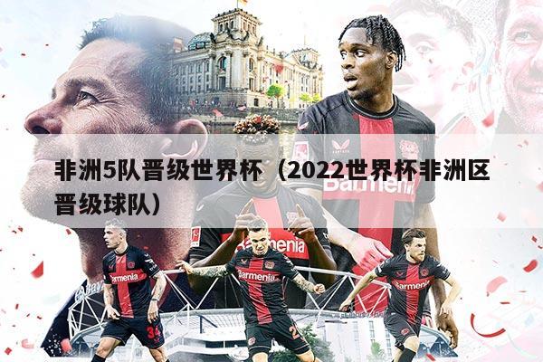 非洲5队晋级世界杯（2022世界杯非洲区晋级球队）