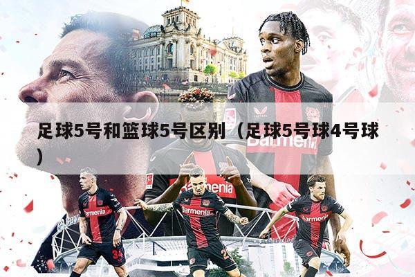 足球5号和篮球5号区别(足球5号球4号球)