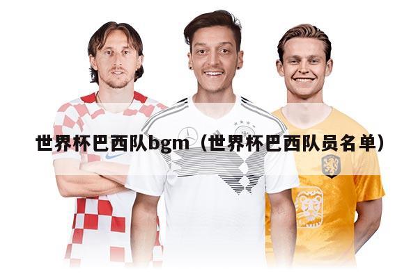 世界杯巴西队bgm（世界杯巴西队员名单）
