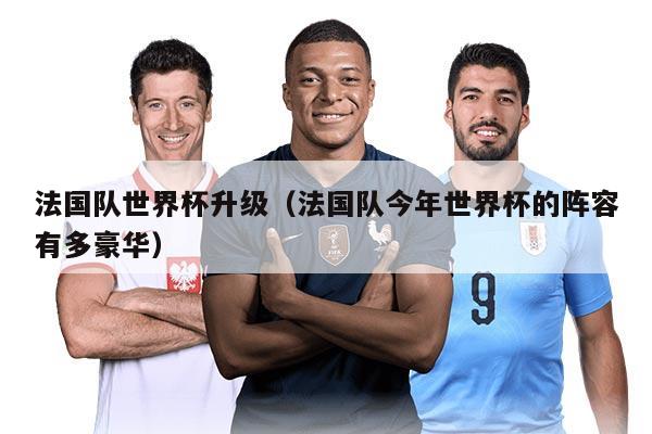 法国队世界杯升级（法国队今年世界杯的阵容有多豪华）